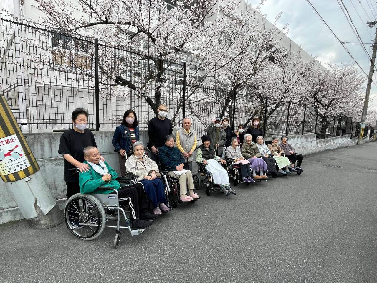 桜の下で過ごす利用者様とスタッフ